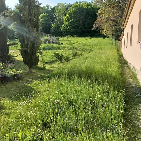 Luxuszelt Jurte Ernstbrunn